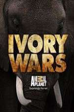 Watch Ivory Wars Watch123movies