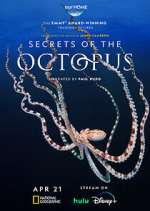 Watch Secrets of the Octopus Watch123movies