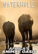 Watch Waterhole: Africa's Animal Oasis Watch123movies