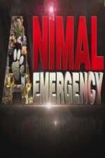 Watch Animal Emergency Watch123movies