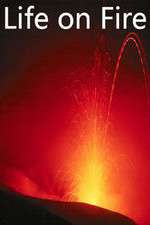 Watch Life on Fire Watch123movies
