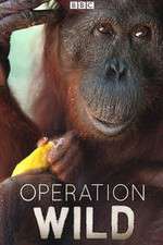 Watch Operation Wild Watch123movies