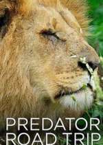 Watch Predator Road Trip Watch123movies