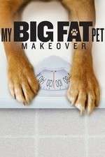 Watch My Big Fat Pet Makeover Watch123movies
