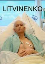 Watch Litvinenko Watch123movies