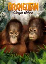 Watch Orangutan Jungle School Watch123movies