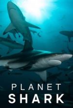 Watch Planet Shark Watch123movies
