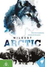 Watch Wildest Arctic Watch123movies