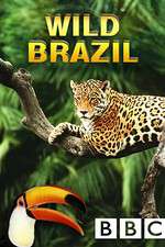 Watch Wild Brazil Watch123movies