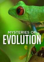 Watch Mysteries of Evolution Watch123movies