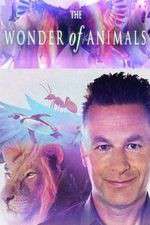 Watch The Wonder of Animals Watch123movies