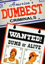 Watch America\'s Dumbest Criminals Watch123movies