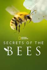 Watch Secrets of the Bees Watch123movies