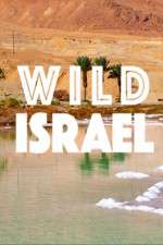 Watch Wild Israel Watch123movies