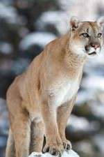 Watch Race of Life Watch123movies