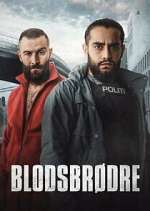 Watch BlodsbrÃ¸dre Watch123movies