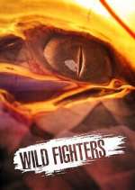 Watch Wild Fighters Watch123movies