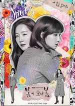 Watch Spring Turns to Spring Watch123movies