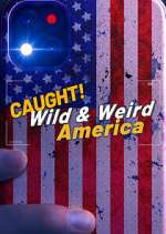 Watch Wild & Weird America Watch123movies