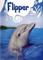 Watch Flipper Watch123movies