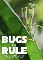 Watch Bugs that Rule the World Watch123movies