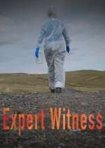 Watch Expert Witness Watch123movies