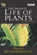 Watch The Private Life of Plants Watch123movies