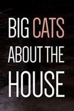 Watch Big Cats About the House Watch123movies
