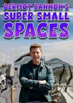 Watch Dermot Bannon's Super Small Spaces Watch123movies