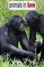 Watch Animals in Love Watch123movies