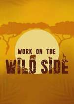Watch Work on the Wild Side Watch123movies
