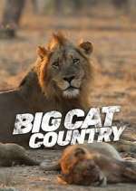 Watch Big Cat Country Watch123movies