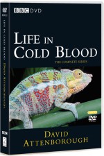 Watch Life in Cold Blood Watch123movies