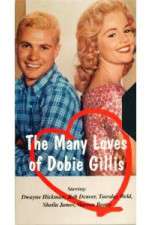 Watch The Many Loves of Dobie Gillis Watch123movies