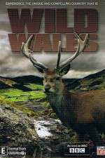 Watch Wild Wales Watch123movies