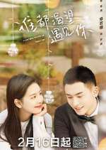 Watch Everyone Wants to Meet You Watch123movies