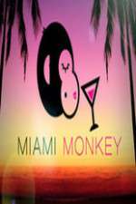 Watch Miami Monkey Watch123movies