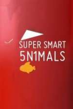 Watch Super Smart Animals Watch123movies