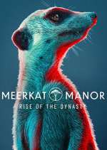 Watch Meerkat Manor: Rise of the Dynasty Watch123movies