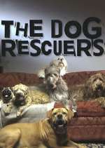 Watch The Dog Rescuers with Alan Davies Watch123movies