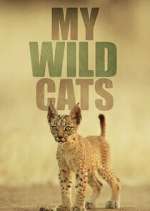 Watch My Wild Cats Watch123movies