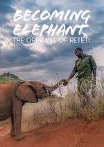 Watch Becoming Elephant: The Orphans Of Reteti Watch123movies
