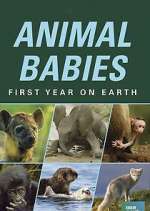 Watch Animal Babies: First Year on Earth Watch123movies