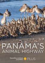 Watch Panama's Animal Highway Watch123movies