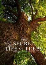 Watch The Secret Life of Trees Watch123movies