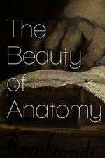 Watch The Beauty of Anatomy Watch123movies