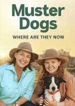 Watch Muster Dogs: Where Are They Now? Watch123movies