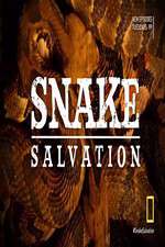 Watch Snake Salvation Watch123movies