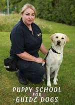 Watch Puppy School for Guide Dogs Watch123movies