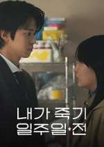 Watch Way Back Love Watch123movies